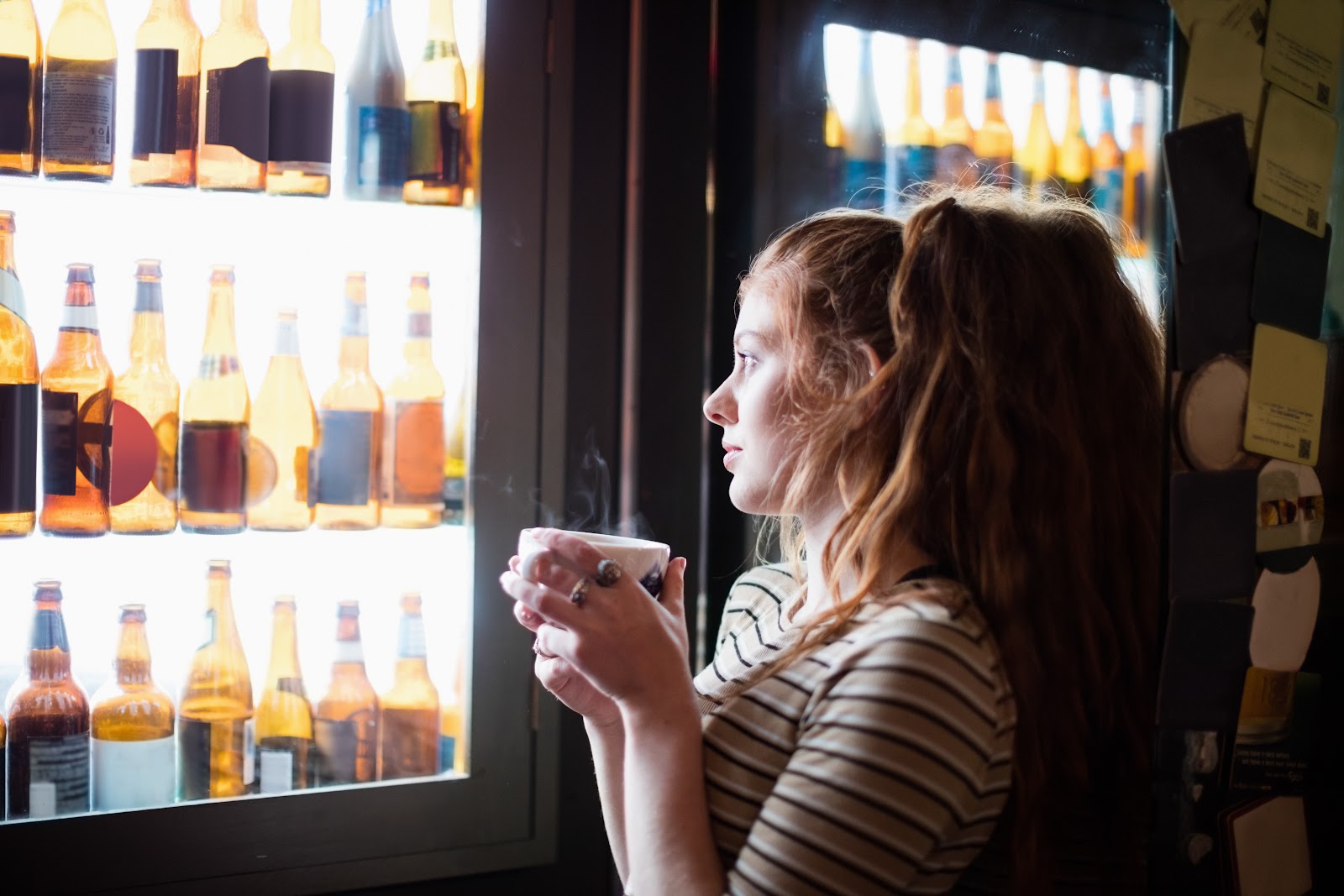 Qual É o Refrigerador Ideal para suas Bebidas?